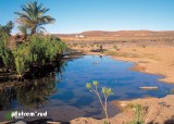 Guelta-sur-un-plateau-du-Bani