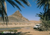 thumb_gueltas-de-l-oued-Mouelah