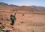 Le-bordj-d-el-Ourak-et-sa-source