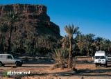 Palmeraie-d-Oulad-Ali
