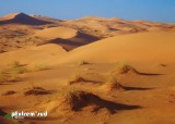 thumb_Erg-mauritanien