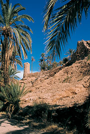 palmeraie-de-Zenaga-thumb