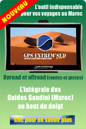 PUB-GPS-GANDINI-colonne