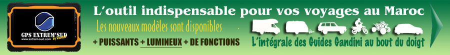 PUB-GPS-GANDINI