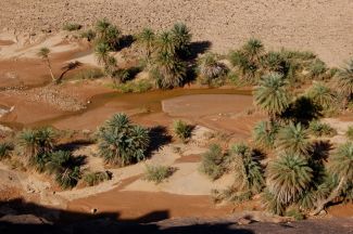 Mauritanie 016