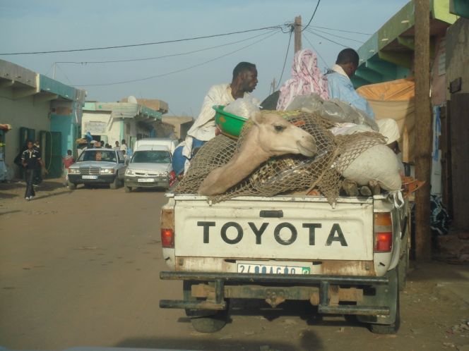 Mauritanie 023