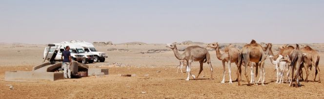 Mauritanie 033_1