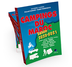camping 2020 3d pile low
