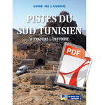 Pistes du Sud Tunisien (PDF)