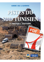 Pistes du Sud Tunisien (PDF)