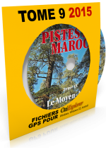 Fichiers RT2 du tome 9 (pour OZI)